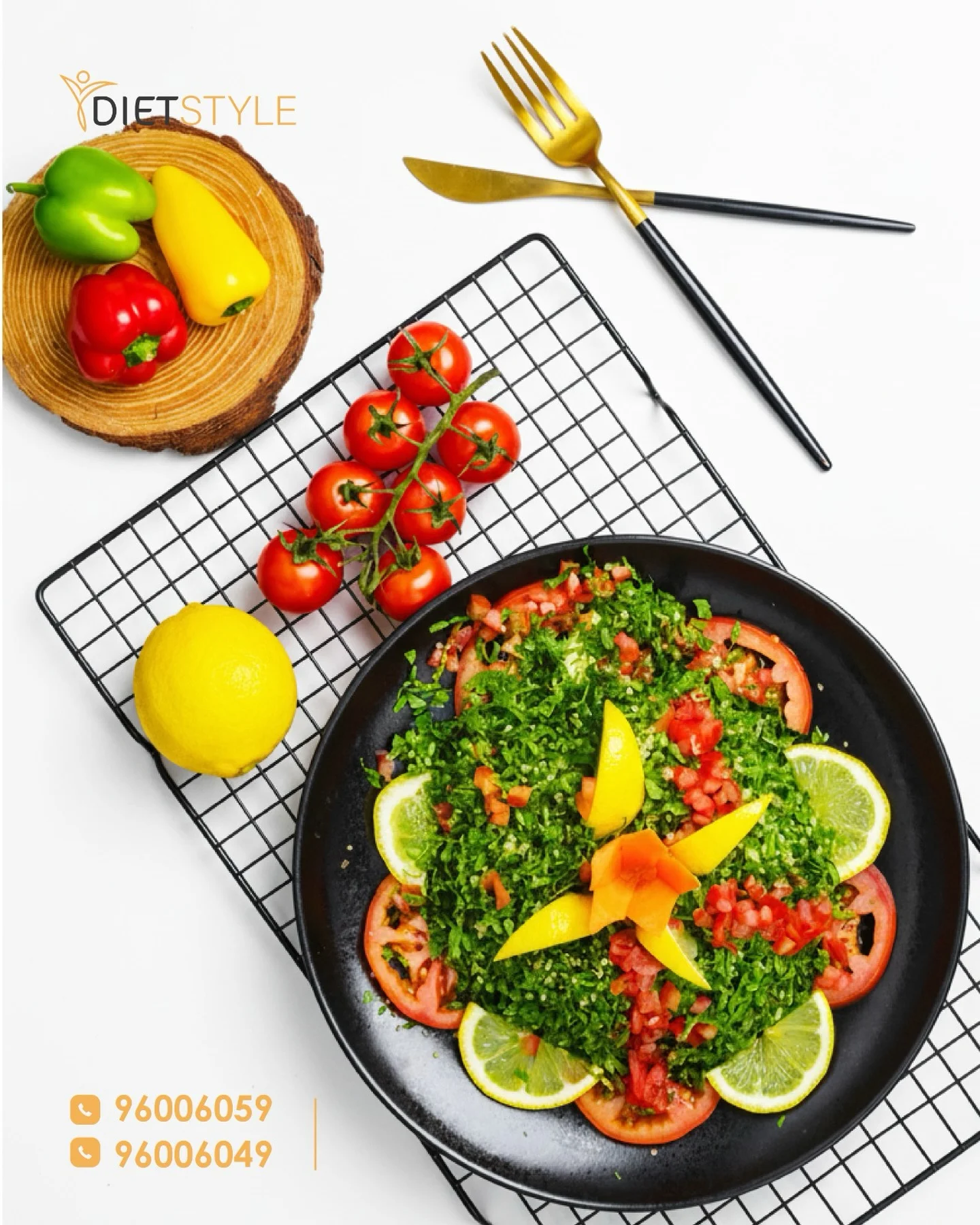 DietStyle meal slide 10