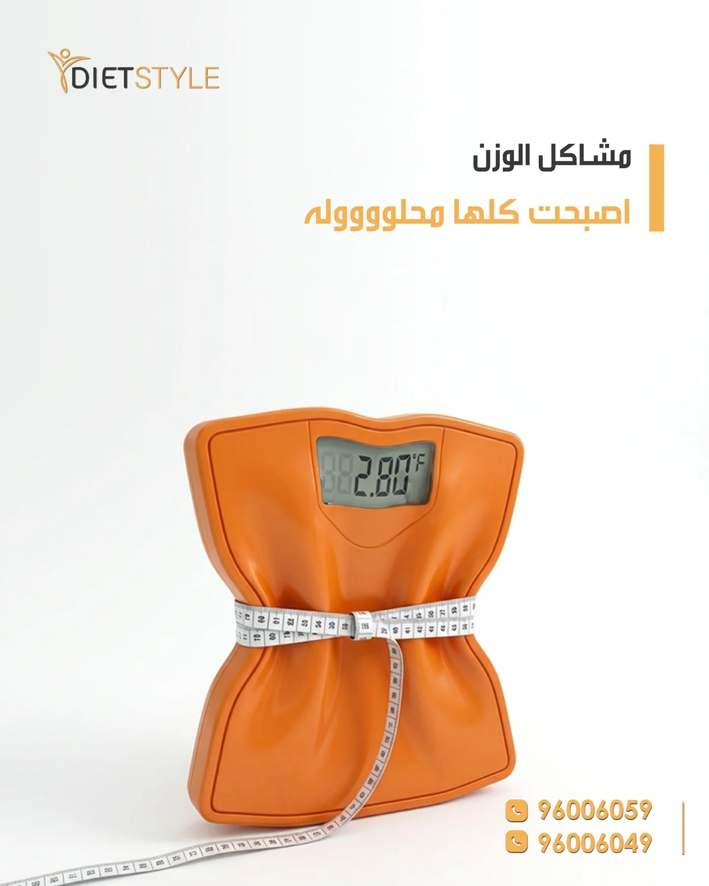 DietStyle meal slide 17